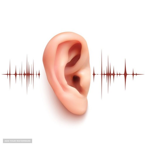 مرکز سنجش شنوایی پژواک