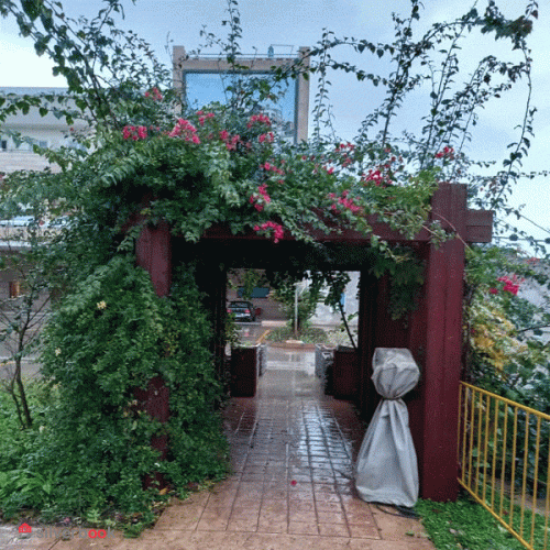 خدمات باغبانی در شمال تهران