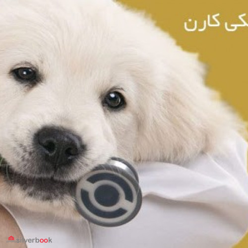 کلینیک حیوانات خانگی | کلینیک دامپزشکی کارن