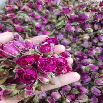 فروش گلاب و عرقیجات در کاشان