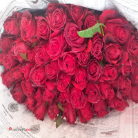 فروش گل رز ایرانی