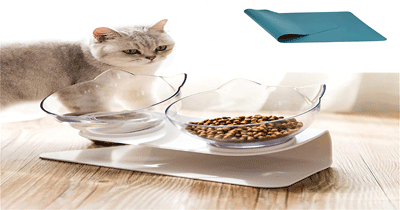 تغذیه ی گربه فنجانی