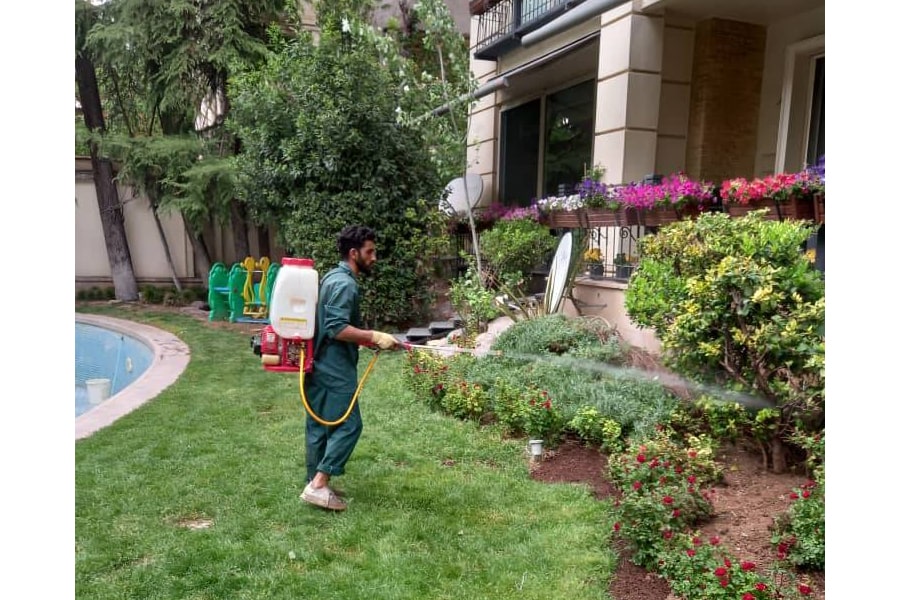 بهترین باغبان در شمال تهران